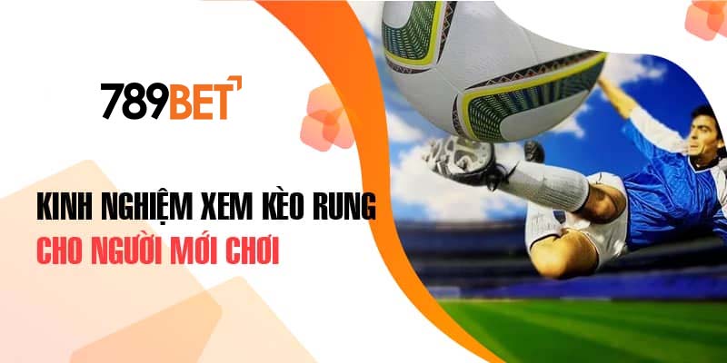 Kinh nghiệm xem kèo rung cho người mới chơi